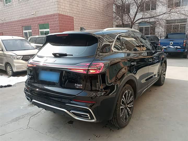 Фото 7 - Hongqi HS5