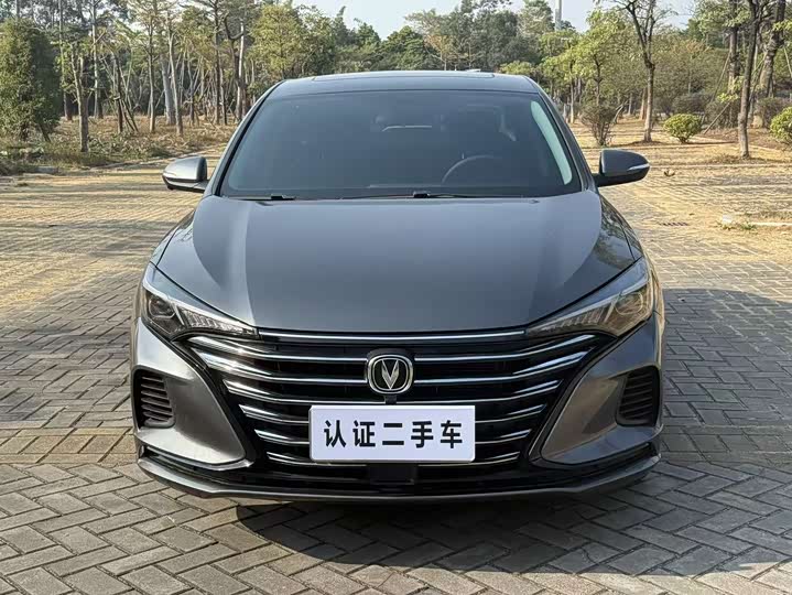 Фото 2 - Changan Eado Plus