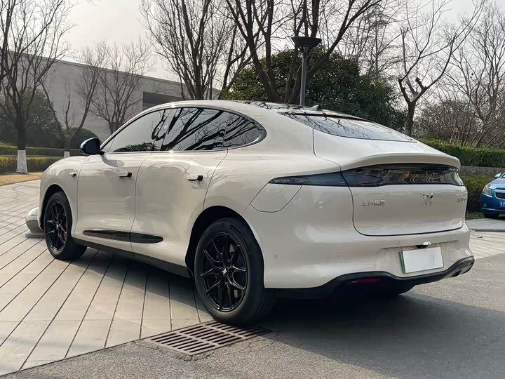 Фото 7 - IM motors LS6