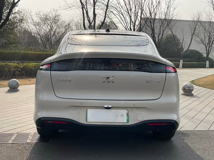 Фото 8 - IM motors LS6