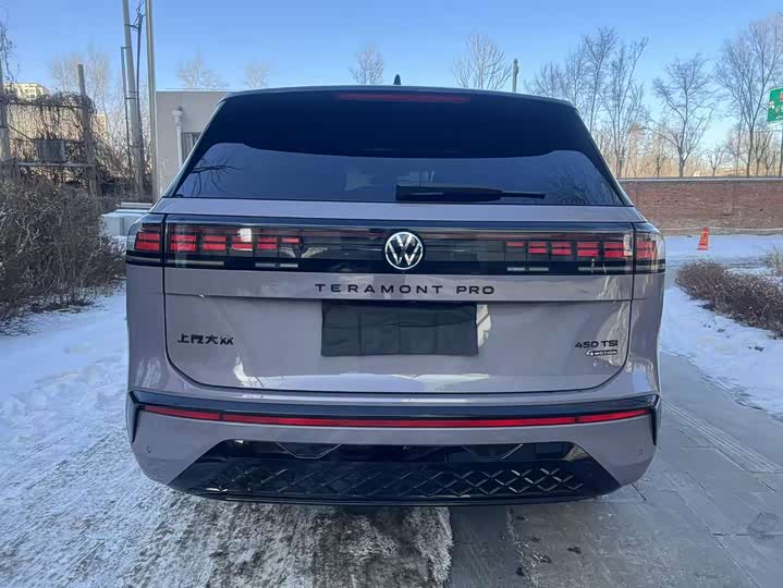 Фото 8 - Volkswagen Teramont Pro