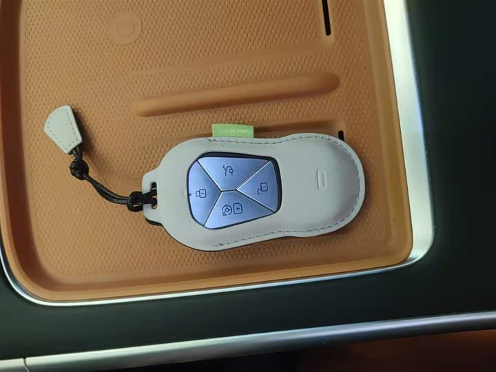 Фото 9 - XPeng G9