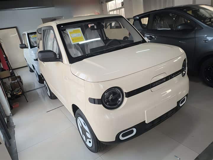 Фото 4 - Geely Galaxy Panda Mini
