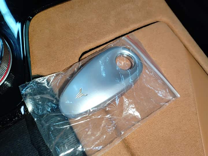 Фото 9 - Voyah Passion