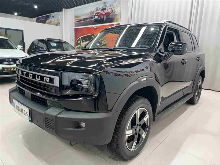 Фото 1 - Jetour Freedom