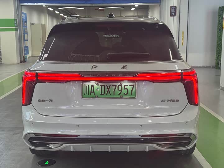 Фото 8 - Hongqi E-HS9