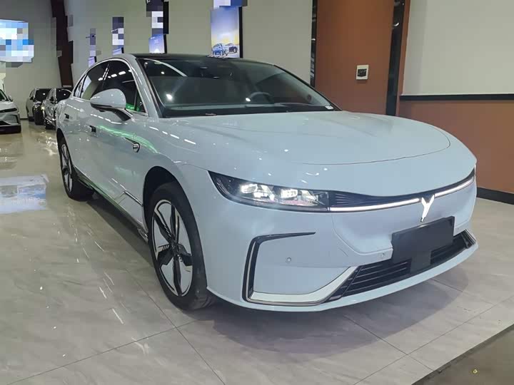 Фото 4 - Voyah Passion