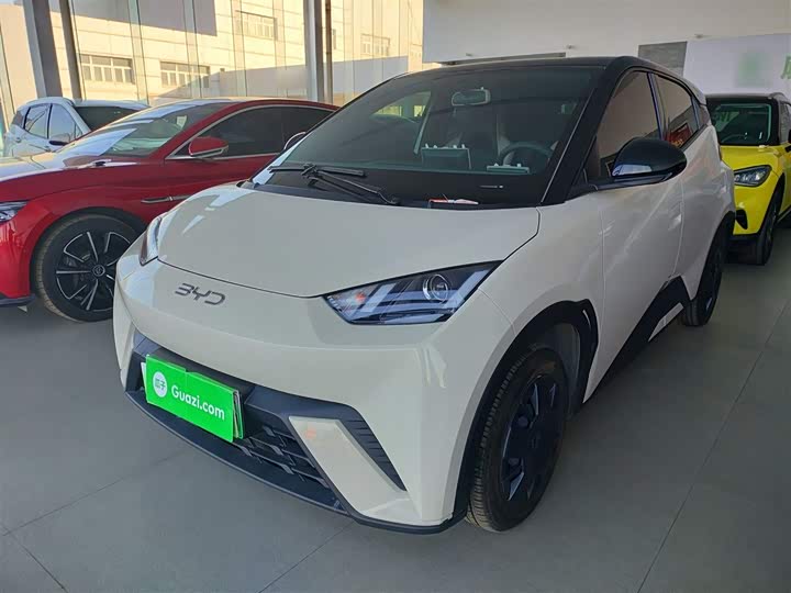 Фото 1 - BYD Seagull