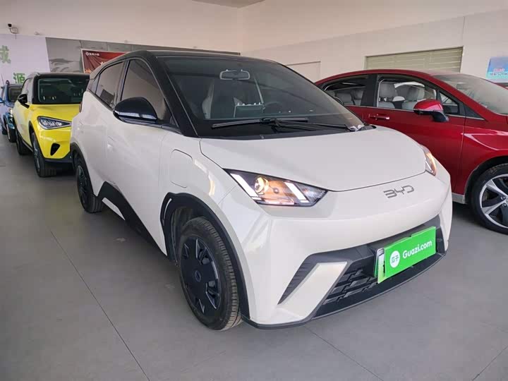 Фото 4 - BYD Seagull