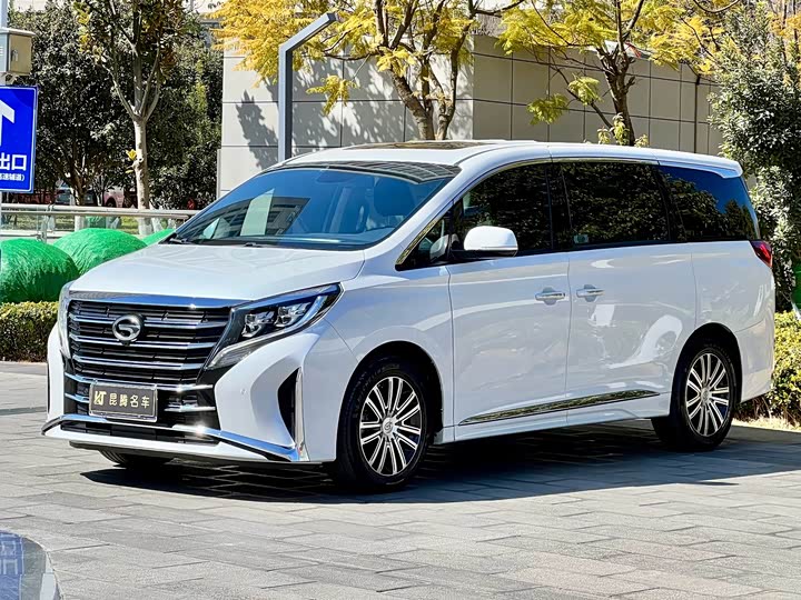 Фото 1 - GAC Trumpchi M8