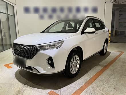 Фото 1 - Haval M6