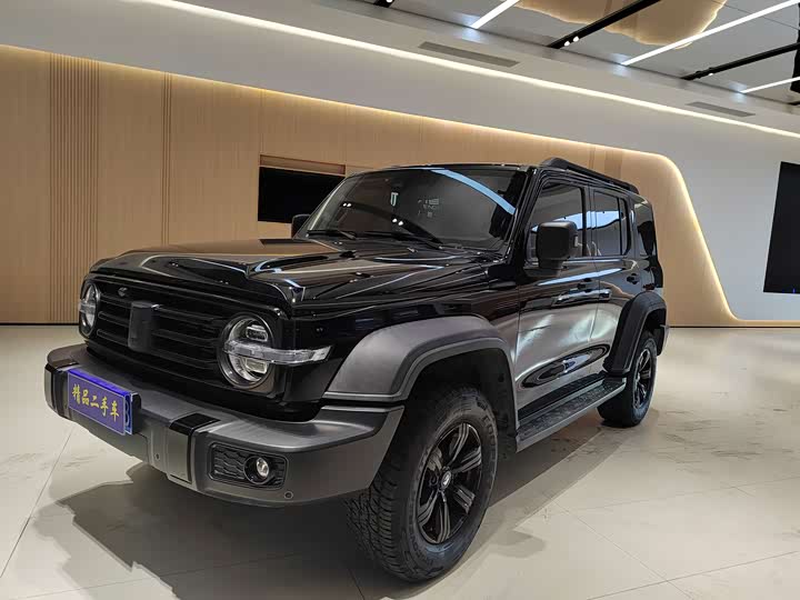 Фото 1 - Tank 300