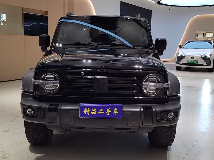 Фото 2 - Tank 300