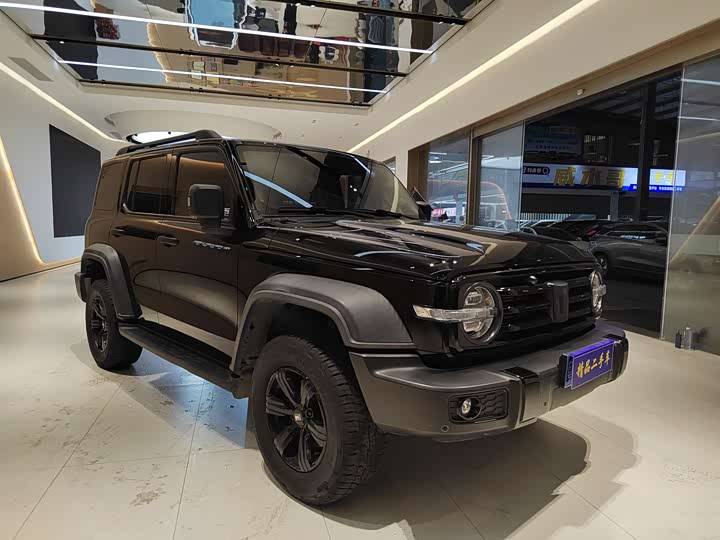 Фото 3 - Tank 300