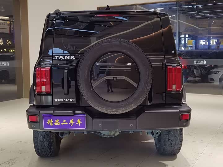 Фото 8 - Tank 300