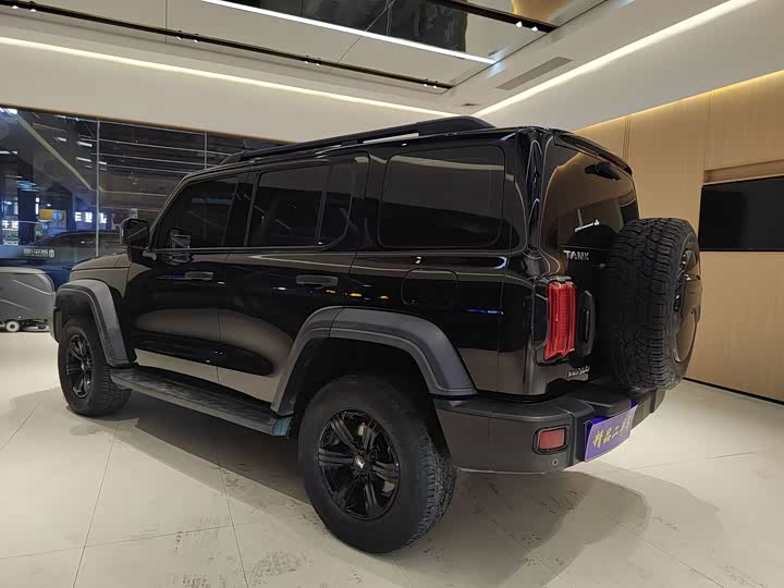 Фото 9 - Tank 300