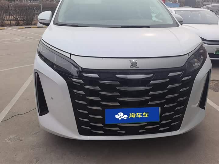 Фото 2 - BYD Xia