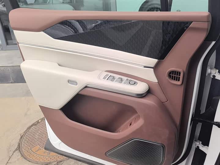 Фото 7 - BYD Xia