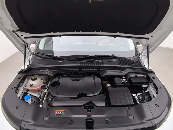 Фото 6 - Geely Icon