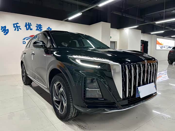 Фото 3 - Hongqi HS3
