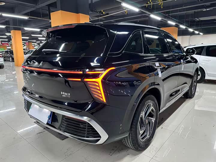 Фото 8 - Hongqi HS3