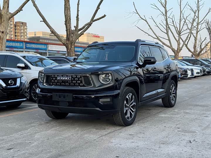 Фото 1 - Haval H-Dog