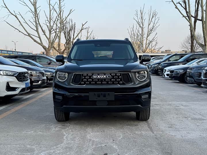 Фото 2 - Haval H-Dog