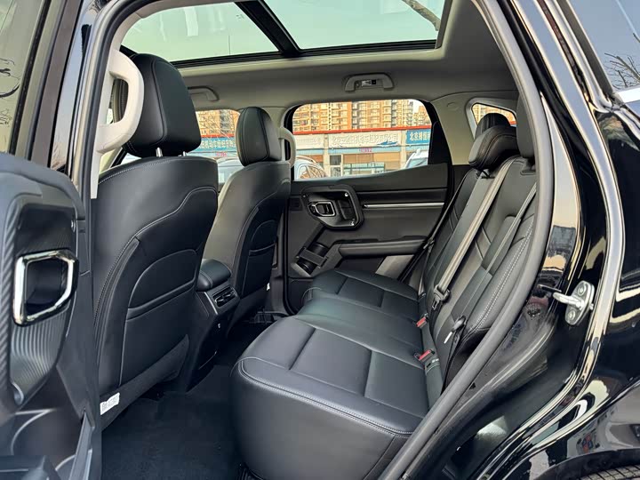 Фото 6 - Haval H-Dog