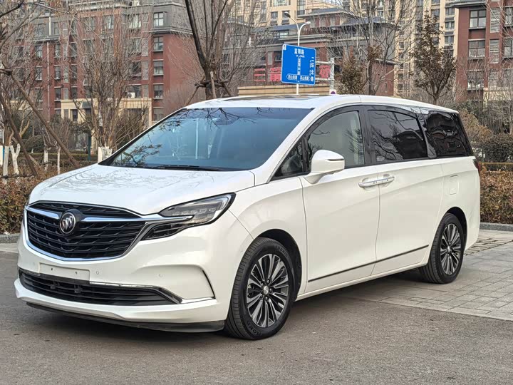 Фото 1 - Buick GL8 ES