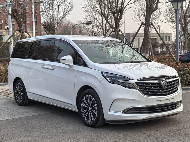 Фото 3 - Buick GL8 ES