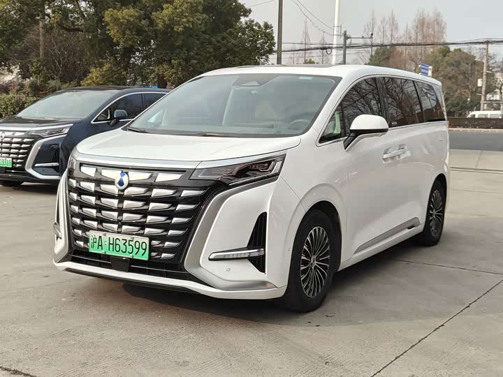 Фото 1 - Denza D9