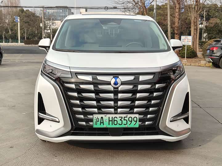 Фото 2 - Denza D9