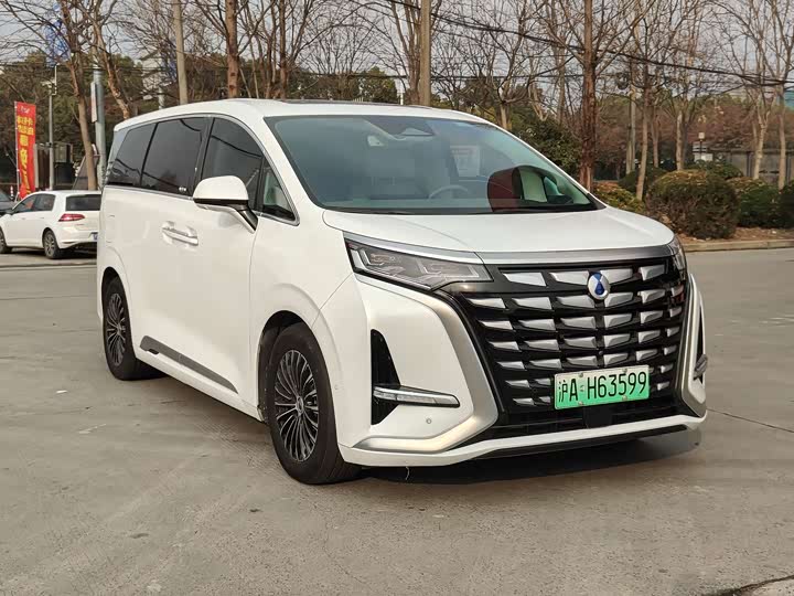 Фото 3 - Denza D9