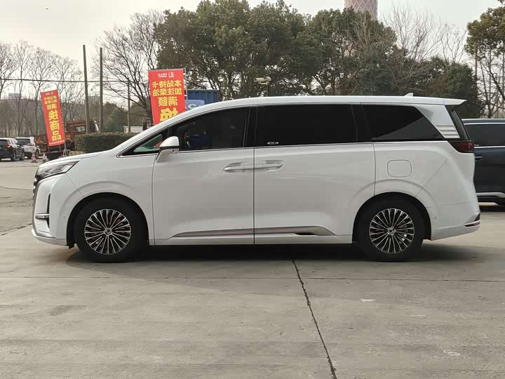 Фото 4 - Denza D9