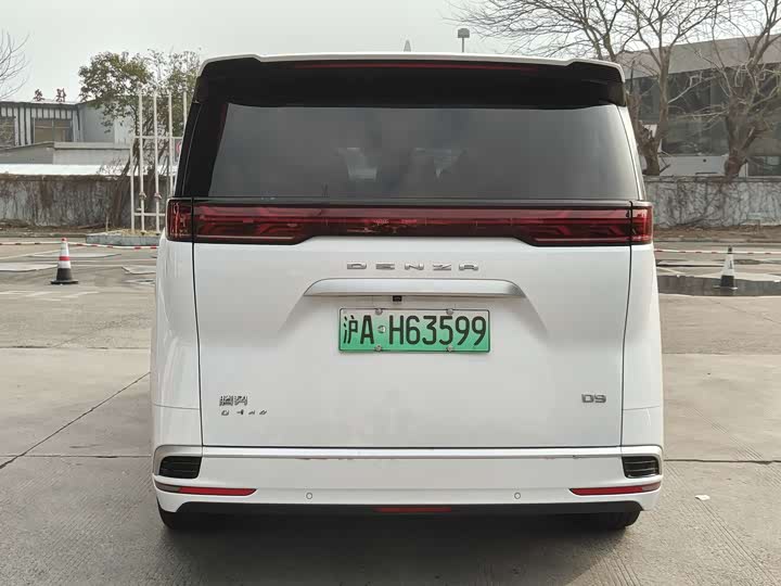 Фото 5 - Denza D9