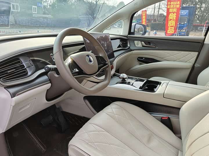 Фото 9 - Denza D9