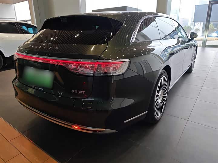 Фото 7 - Stelato S9T