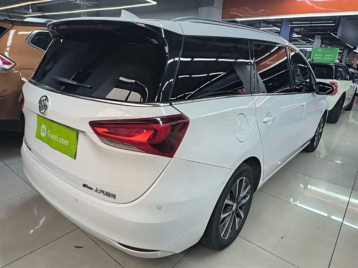 Фото 7 - Buick GL6