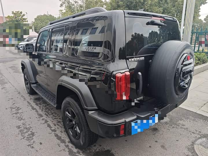 Фото 5 - Tank 300