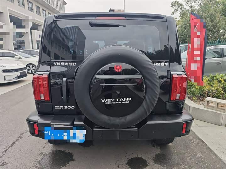 Фото 6 - Tank 300