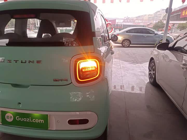 Фото 8 - Bestune Pony