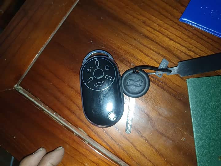 Фото 9 - Bestune Pony