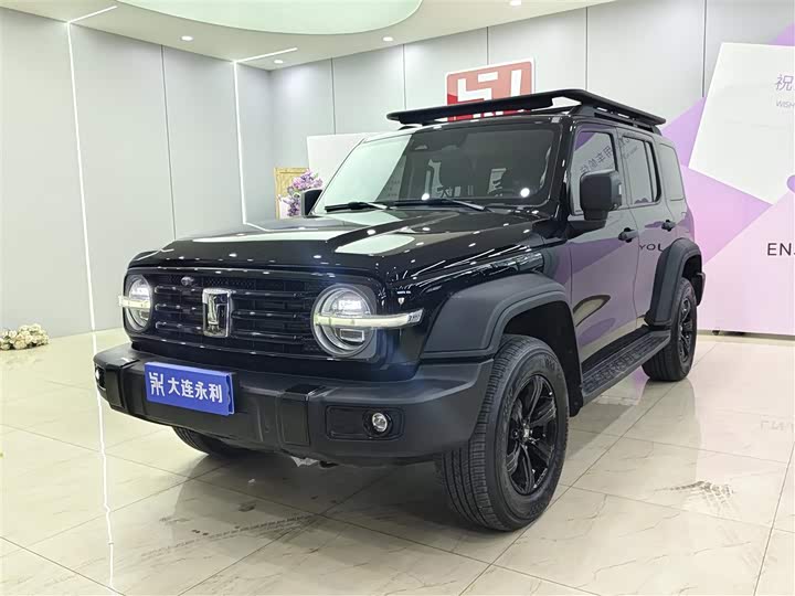 Фото 1 - Tank 300