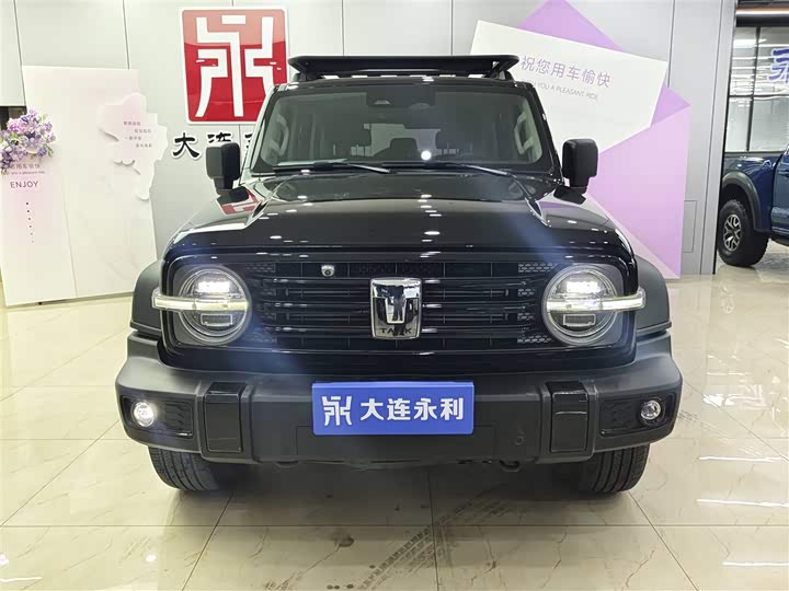 Фото 2 - Tank 300