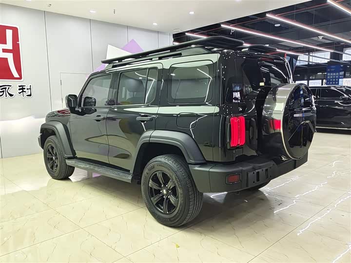 Фото 4 - Tank 300