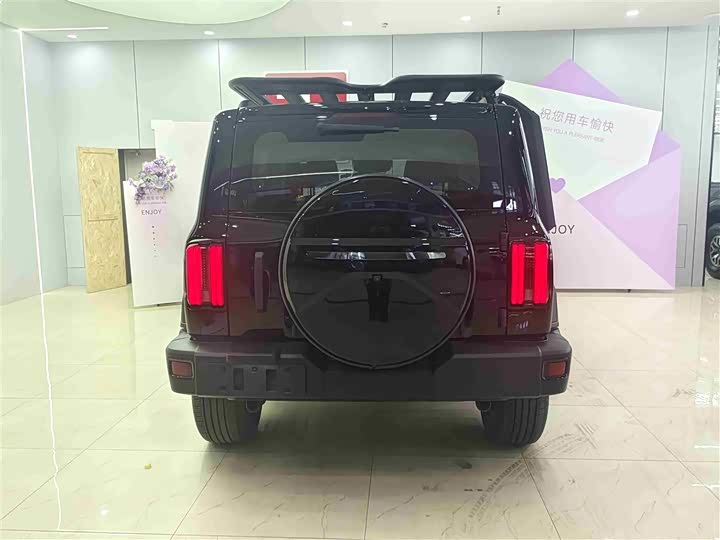 Фото 5 - Tank 300