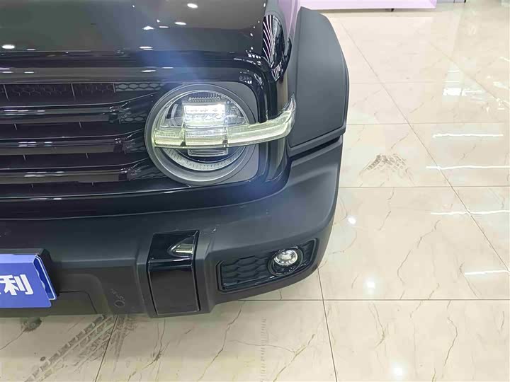 Фото 7 - Tank 300