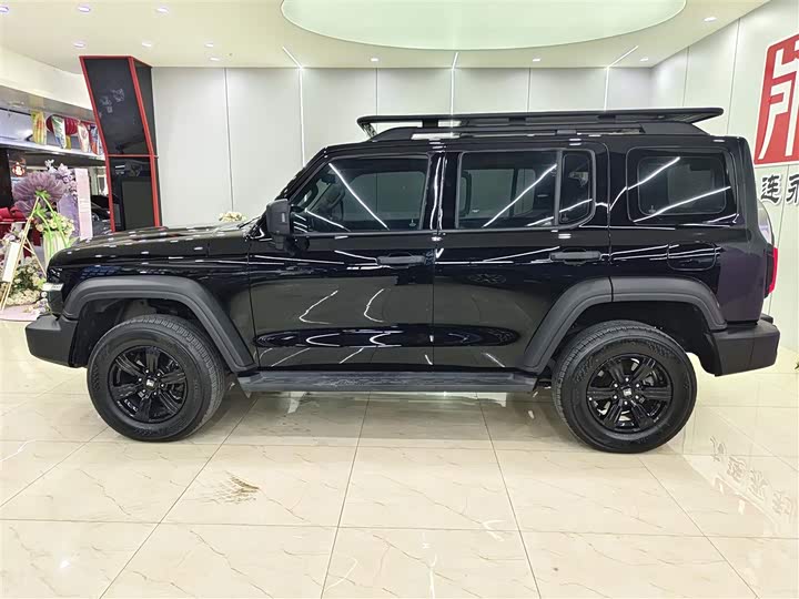 Фото 9 - Tank 300