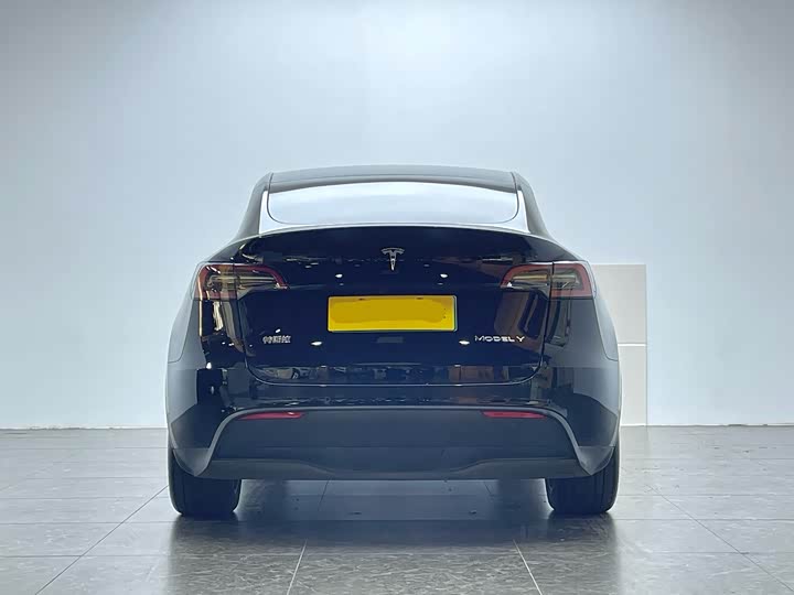 Фото 4 - Tesla Model Y