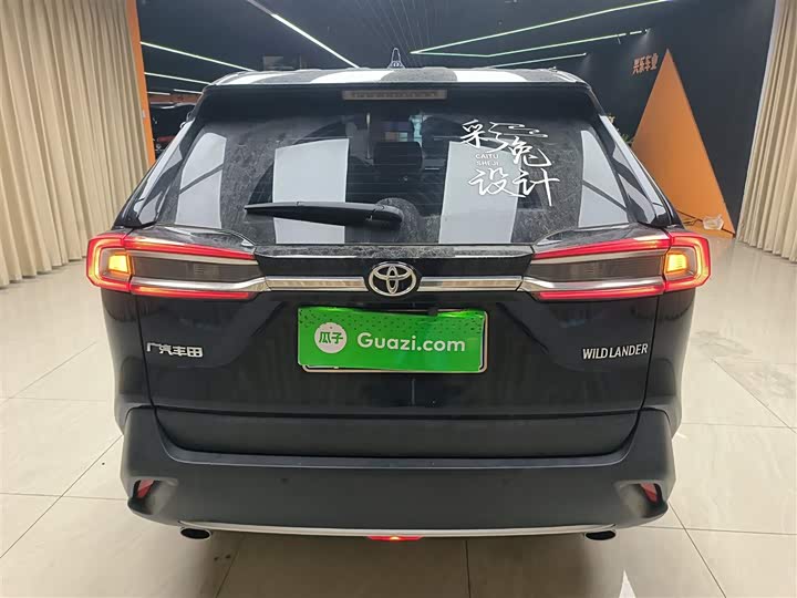 Фото 6 - Toyota Wildlander